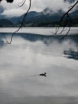 IMG_0519
