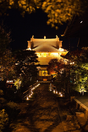 5248456987_c9b9a63b5e