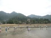 IMG_2725.JPG