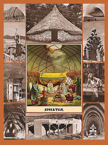 SHELTER_new_cov_352W