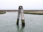 IMG_1311.JPG