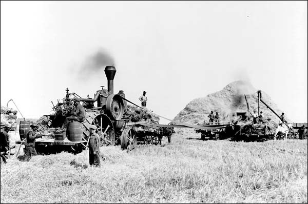 threshing_011.jpg