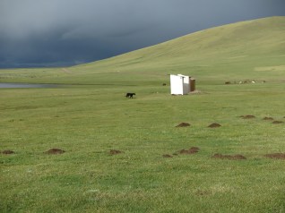 IMG_0837.jpg