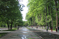 oak-park4_sm.jpg