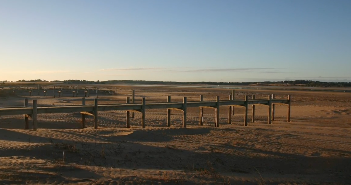 Screen Shot 2019-01-25 at 4.17.26 pm.png