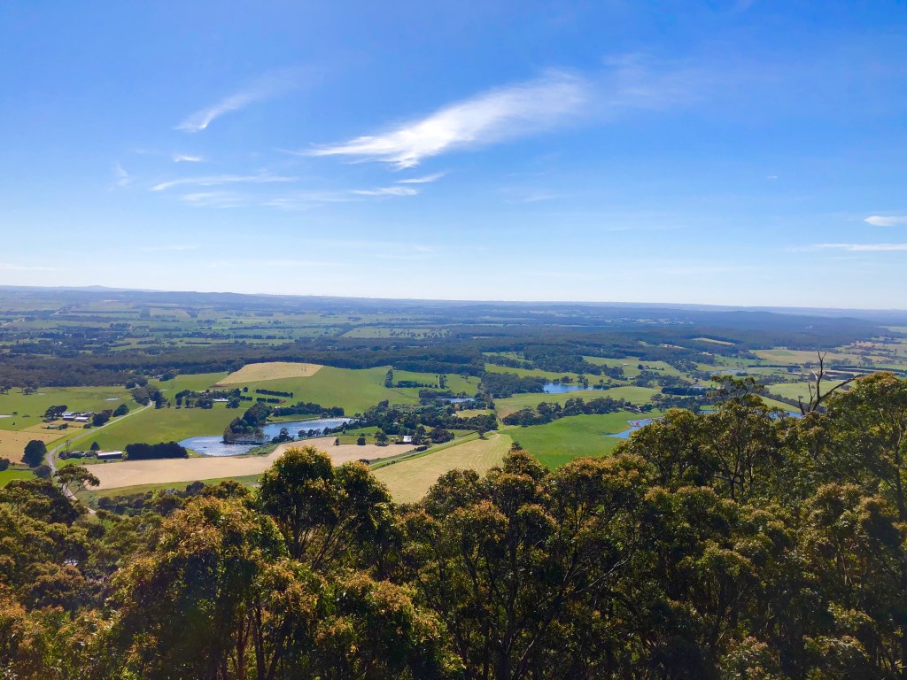 This image has an empty alt attribute; its file name is img_1377.jpg