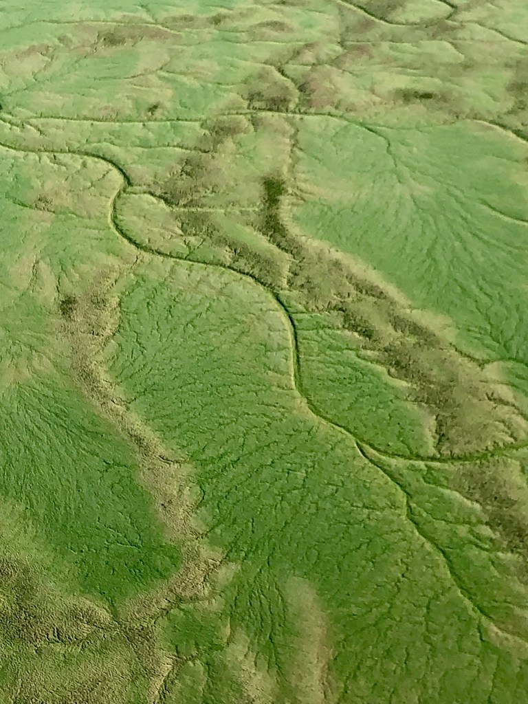 Aerial view of textured green landscape with visible water channels, showcasing the unique topography of a wetland area.