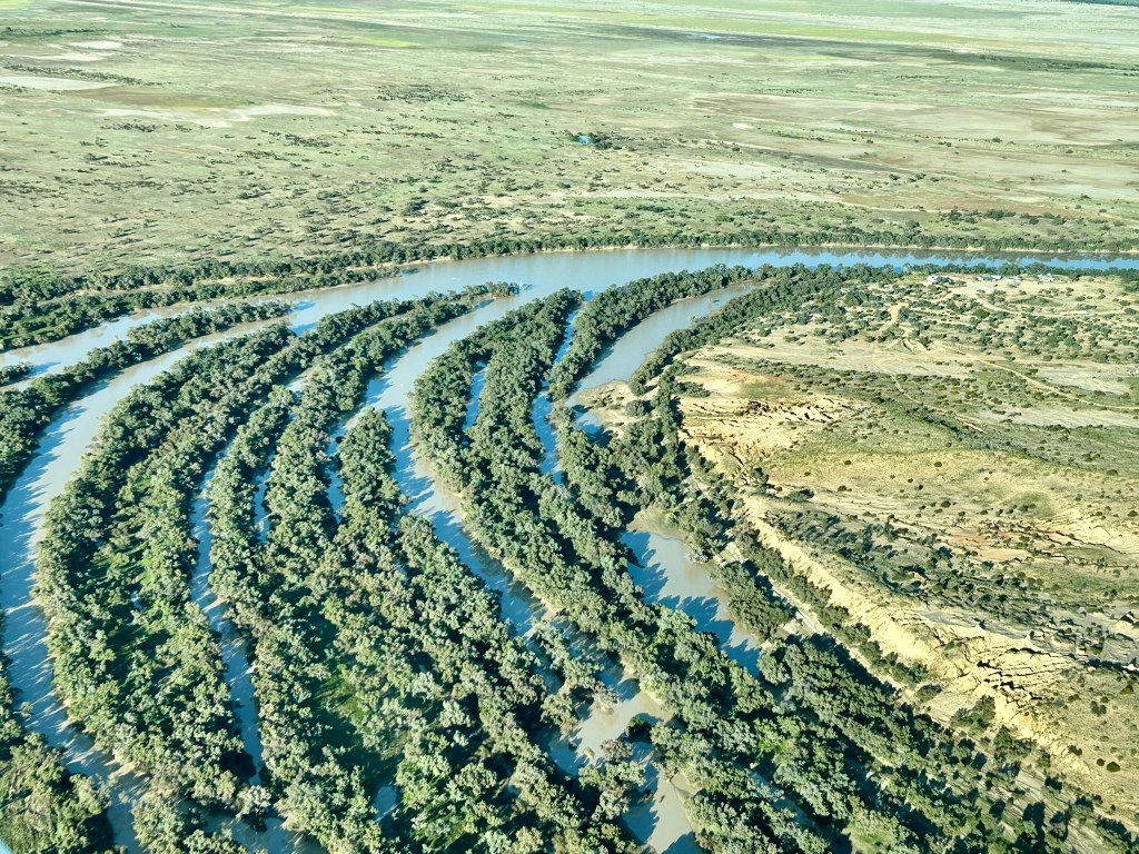 Aerial view of a meandering river surrounded by lush green vegetation and sandy terrain, highlighting the natural landscape.