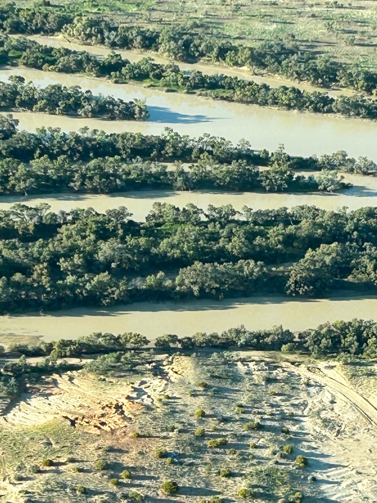 Aerial view of winding rivers surrounded by lush vegetation, showcasing the intricate patterns created by the waterways cutting through the landscape.